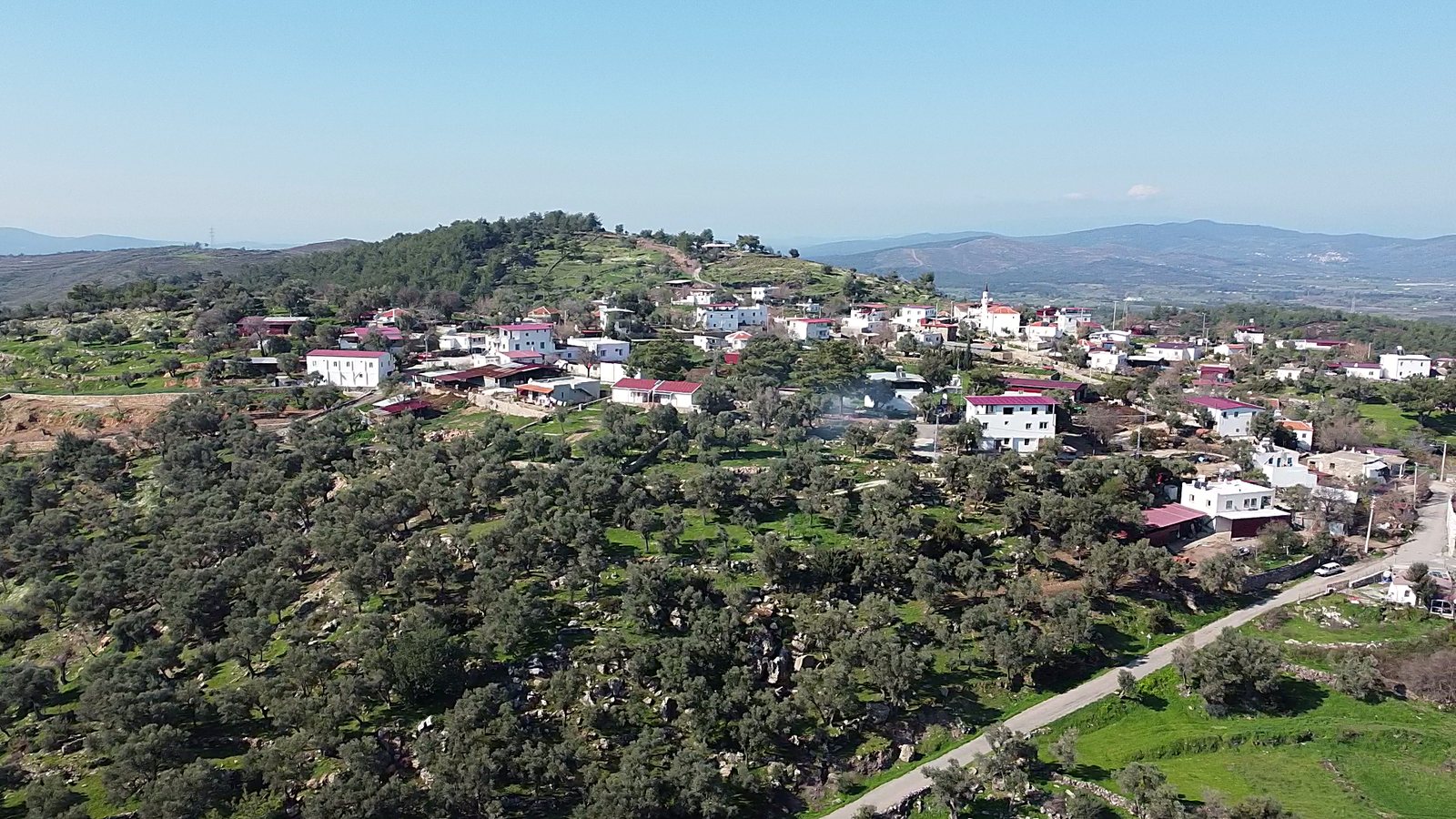 Aerial view of olive groves surrounding a Gökpınar village