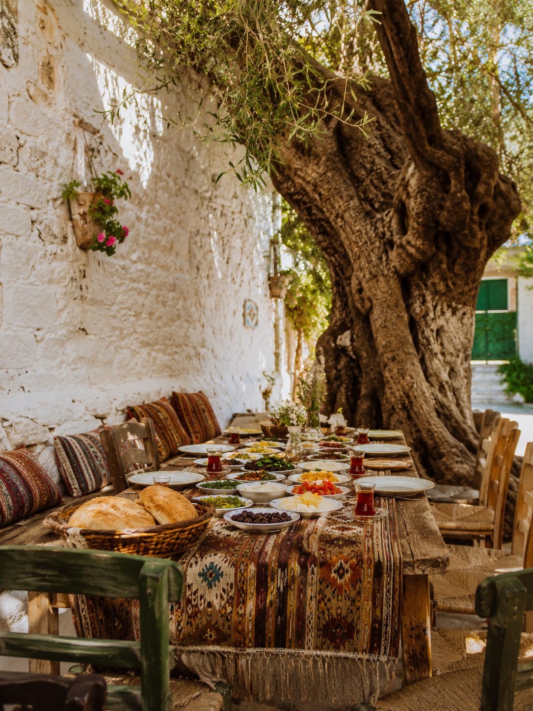 A village breakfast table under an ancient olive tree in the Aegean